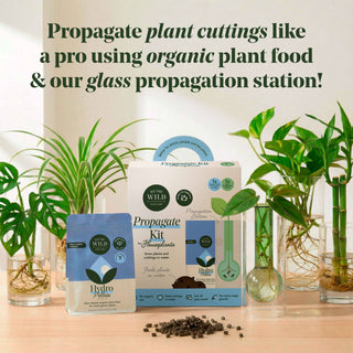 Propagation Kit