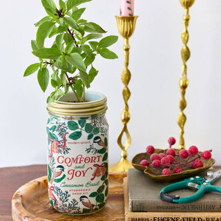 Holiday Herb Garden Jar: Comfort & Joy