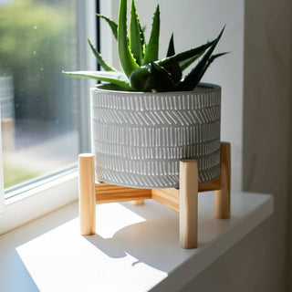 Planter & Wood Stand Ceramic Tribal Geometric - Ivory, 6 in.