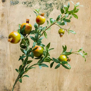 Big Fruit Faux Pomegranate Stem 32" Tall: Red / Five Stems