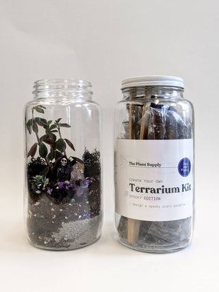 Halloween DIY Terrarium | Fall Plant Craft Kit   Note: plants sold separately.  Click on image to view more photos