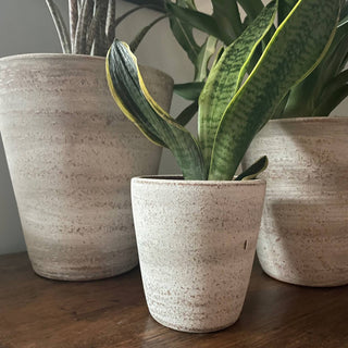 Concrete White-washed Terracotta Planter (Small): With drainage plate