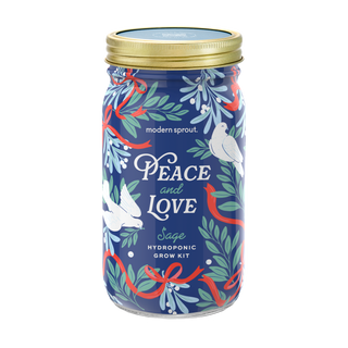 Holiday Herb Garden Jar: Comfort & Joy