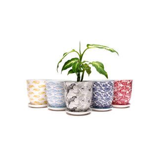 Liberte  Indoor plant pots with drainage 3 & 5 inch planter: Blue Leaves / 4.25"