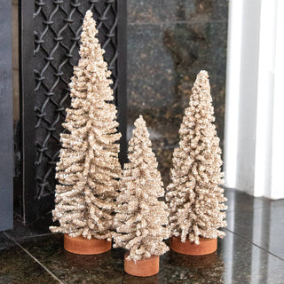 Champagne Gleam Bristle Tree - 8"
