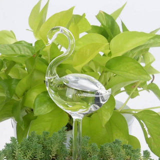 Self-Watering Plant Decor