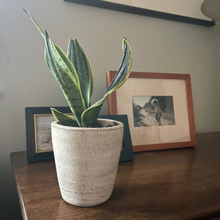 Concrete White-washed Terracotta Planter (Small): With drainage plate