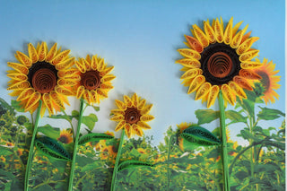 Sunflower Power
