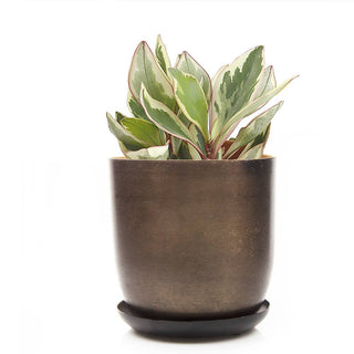 Joe Metal Flower Pots And Planters With Drainage Hole Saucer: White & Copper / 5"