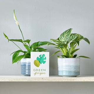 Kiln Green by Denby Medium Pot