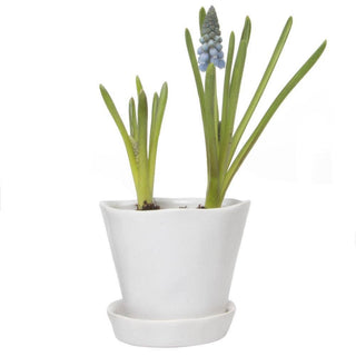Tika Ceramic Pots and Planters