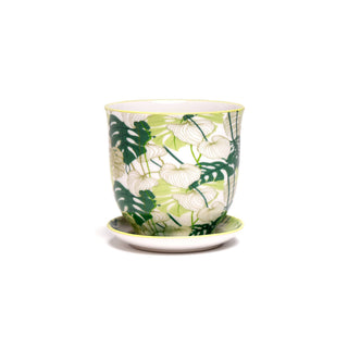 Liberte Indoor Porcelain Plant Pots