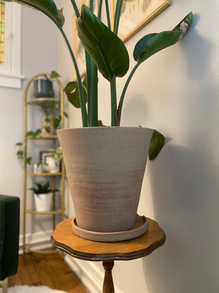 Concrete-washed Terracotta Planter (Large): With drainage plate