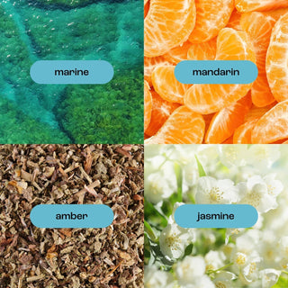 Sea Salt Citrus Mini Hand Crème/Cream