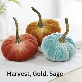 Pumpkin Small Velvet Fall Decor Gift for New Apartment Best: Fall Floral