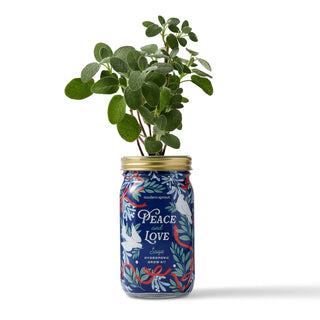 Holiday Herb Garden Jar: Comfort & Joy