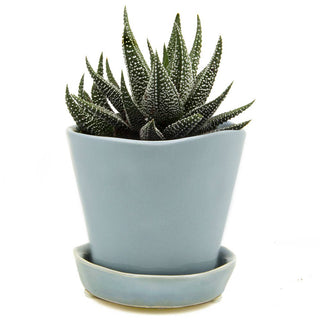 Tika Ceramic Pots and Planters