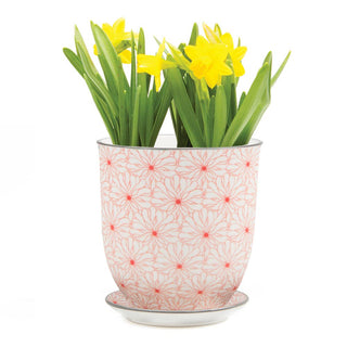 Liberte 3, 3.25" Indoor Plant Pots: Red Birds / 3.25"