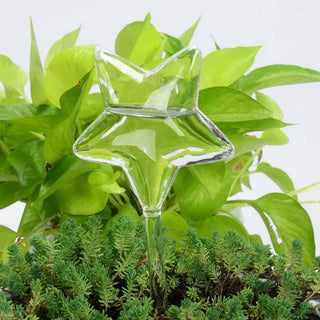 Self-Watering Plant Decor