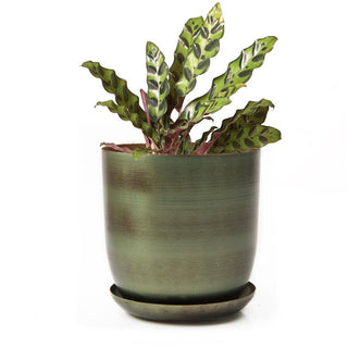 Joe Metal Flower Pots And Planters With Drainage Hole Saucer: White & Copper / 5"