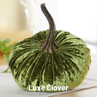 Pumpkin Small Velvet Fall Decor Gift for New Apartment Best: Fall Floral
