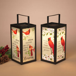 9.8"H B/O Lighted Metal & Glass Cardinal Design Lantern w/ Timer, 2 Asst