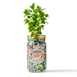 Holiday Herb Garden Jar: Comfort & Joy