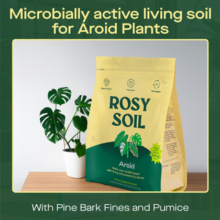 4qt Organic Aroid Mix for Indoor Plants