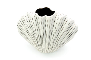 Handcrafted Mini Shell Vase S - W23