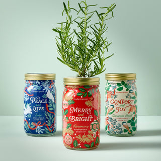 Holiday Herb Garden Jar: Comfort & Joy