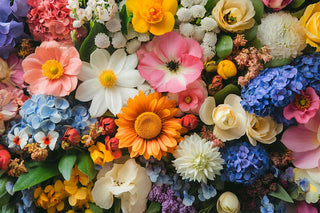 Designer's Choice - $75 Arrangement