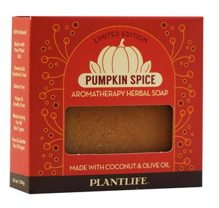 Pumpkin Spice Bar Soap