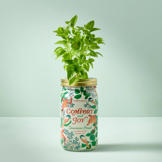 Holiday Herb Garden Jar: Comfort & Joy