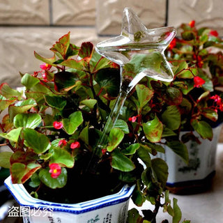 Self-Watering Plant Decor