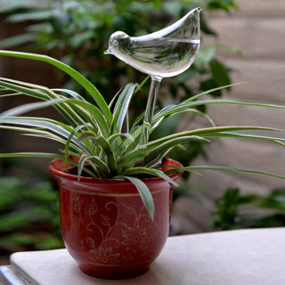 Self-Watering Plant Decor