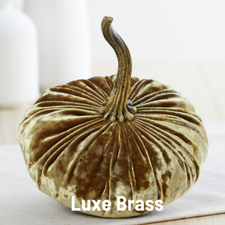 Pumpkin Small Velvet Fall Decor Gift for New Apartment Best: Luxe Brass