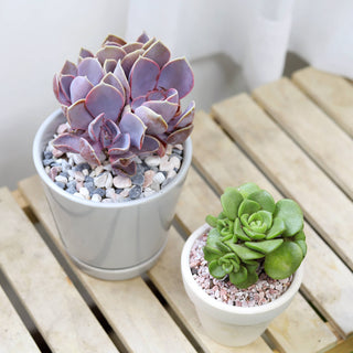 6 inch Gray Minimalist Pot with Saucer - Pot for Houseplants