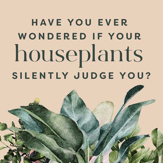 Houseplants and Their Fucked-Up Thoughts by Carlyle Christoff: Hardcover; 96 pages / English