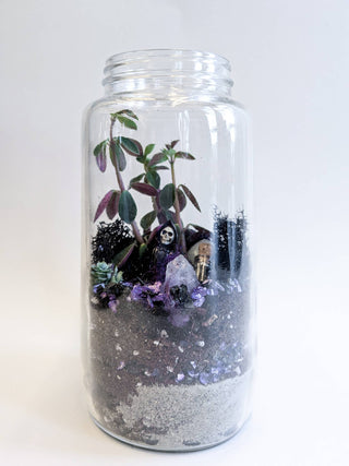 Halloween DIY Terrarium | Fall Plant Craft Kit   Note: plants sold separately.  Click on image to view more photos