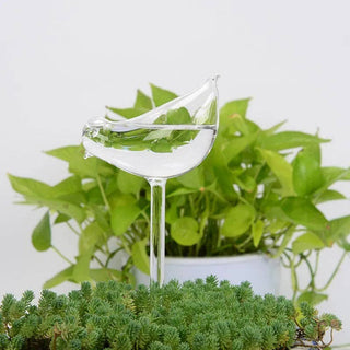 Self-Watering Plant Decor