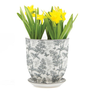 Liberte 3, 3.25" Indoor Plant Pots: Red Birds / 3.25"