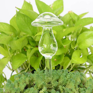 Self-Watering Plant Decor