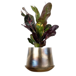 Joe Metal Flower Pots And Planters With Drainage Hole Saucer: White & Copper / 5"