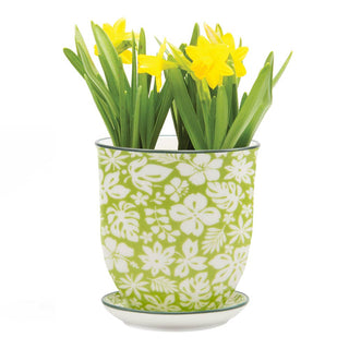 Liberte 3, 3.25" Indoor Plant Pots: Red Birds / 3.25"