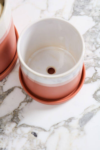 3" Dawn Pot - Succulent Planters With Saucer For Sale