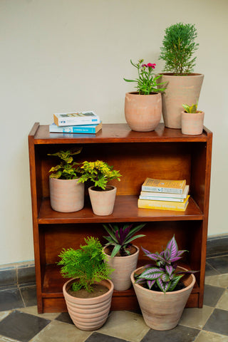 Concrete-washed Terracotta Planter (Large): With drainage plate
