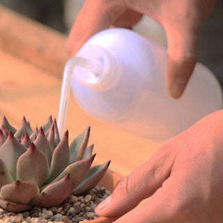 500ml Plastic Squeeze Watering Bottle for Succulent & Cactus: Blue