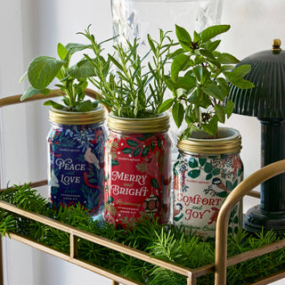 Holiday Herb Garden Jar: Comfort & Joy