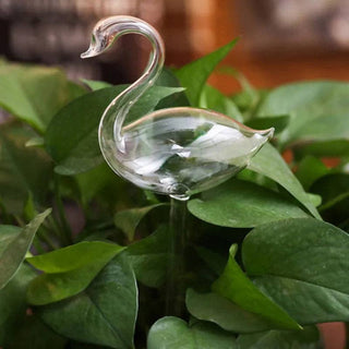 Self-Watering Plant Decor