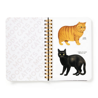 Moody Cats Sticker Book by Brass Monkey